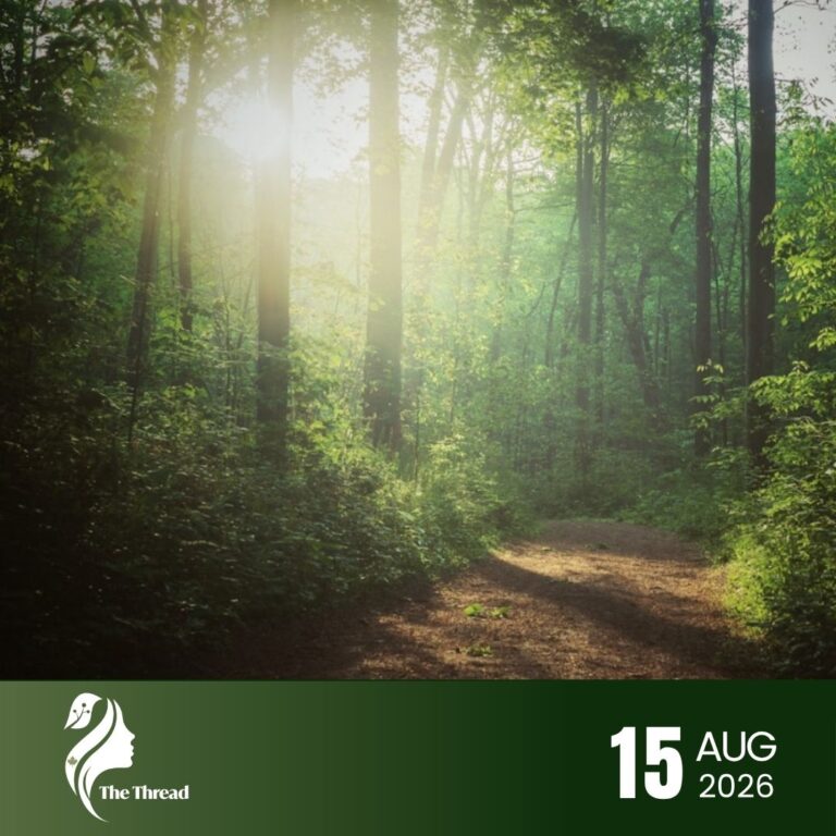 Trail & Talk | Forest Walk | Edition 4